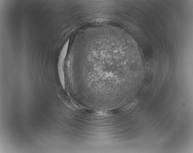 X0000055990623200509092021