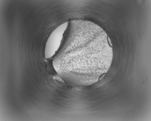 X0000055990624200509092021