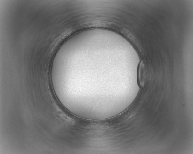 X0000055990625200509092020