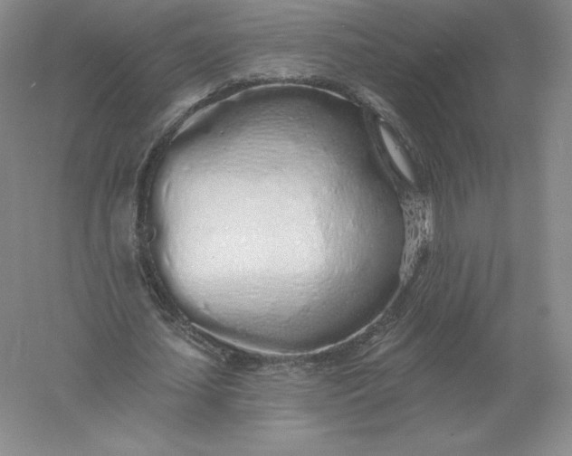 X0000055990627200509092020