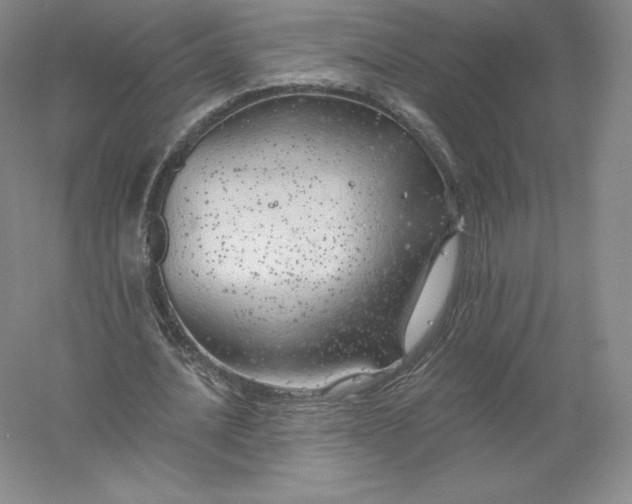 X0000055990628200509092020