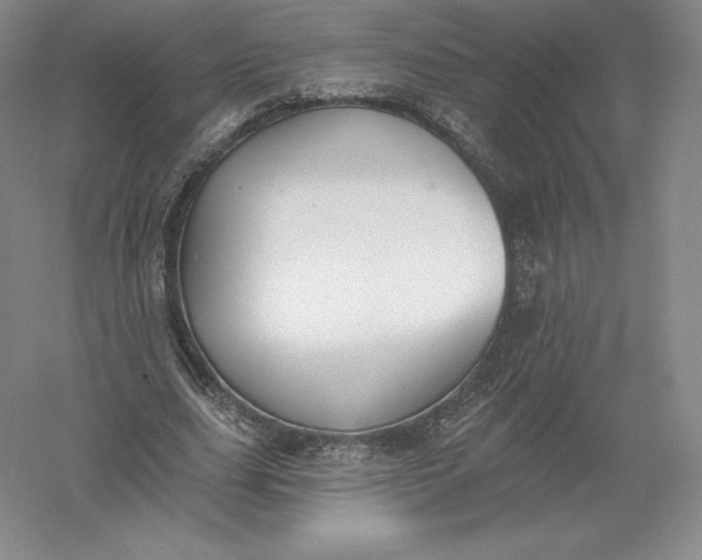 X0000055990631200509092020