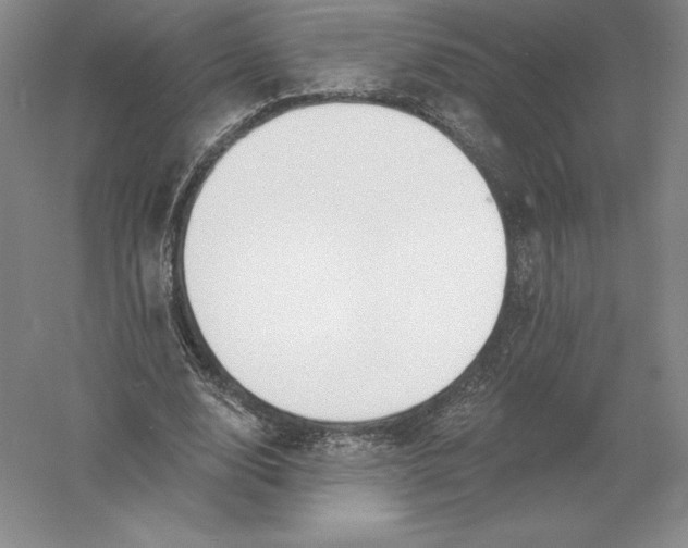 X0000055990632200509092020