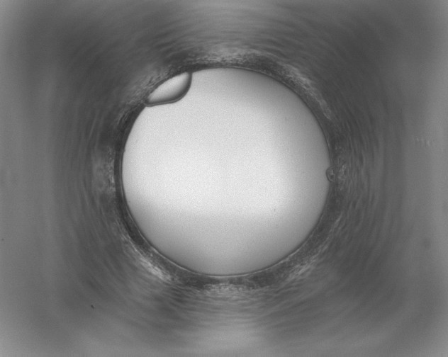 X0000055990633200509092020