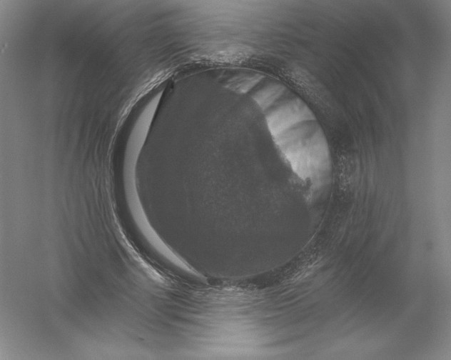 X0000055990634200509092020