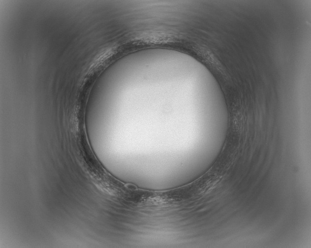 X0000055990635200509092020