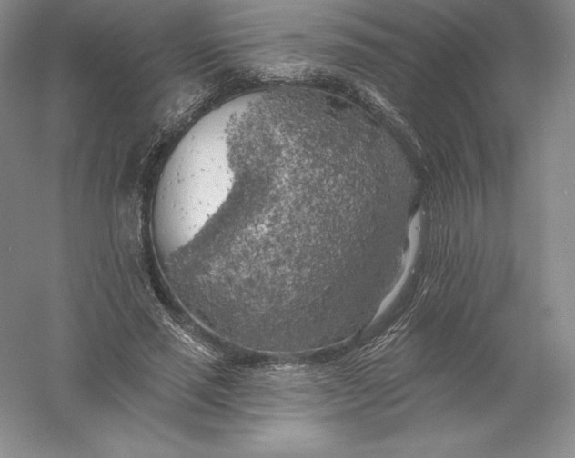 X0000055990637200509092020