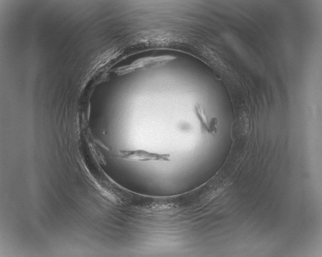 X0000055990638200509092020