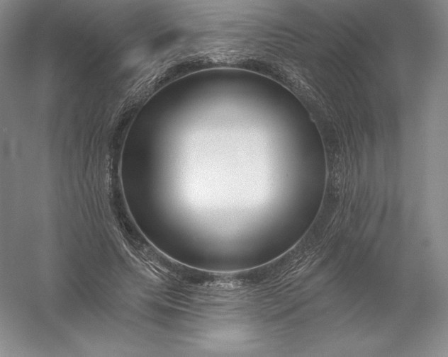 X0000055990639200509092020