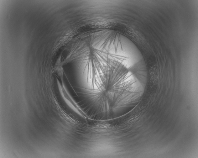 X0000055990642200509092020