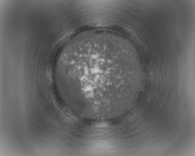 X0000055990643200509092020