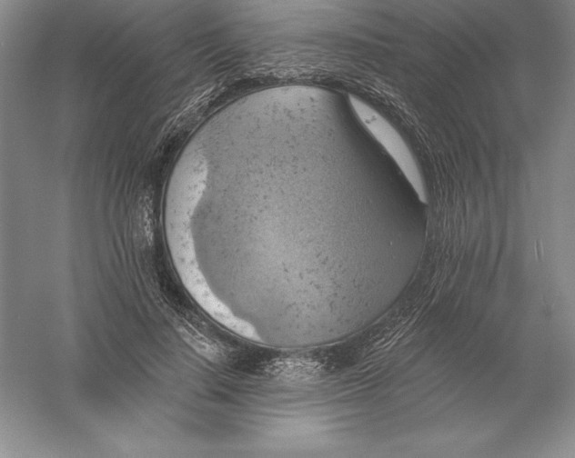 X0000055990644200509092020