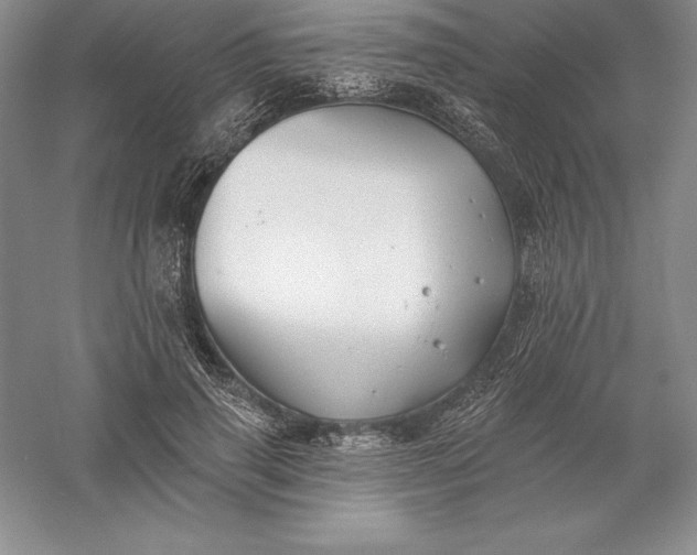 X0000055990645200509092020