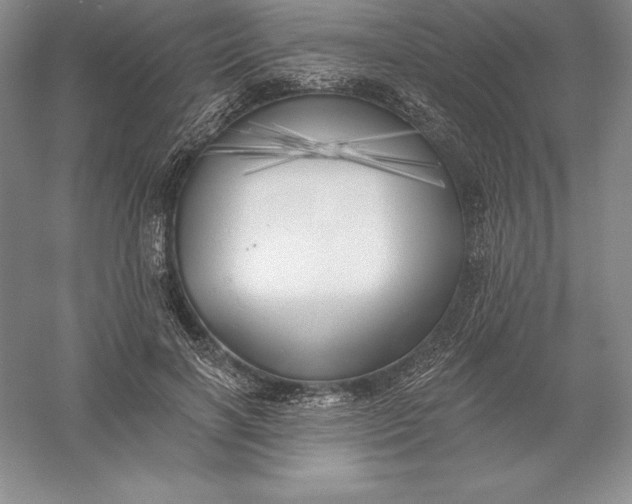 X0000055990646200509092020