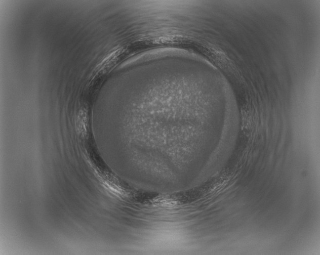 X0000055990648200509092020