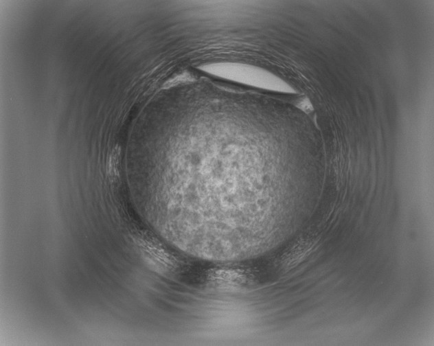 X0000055990649200509092021