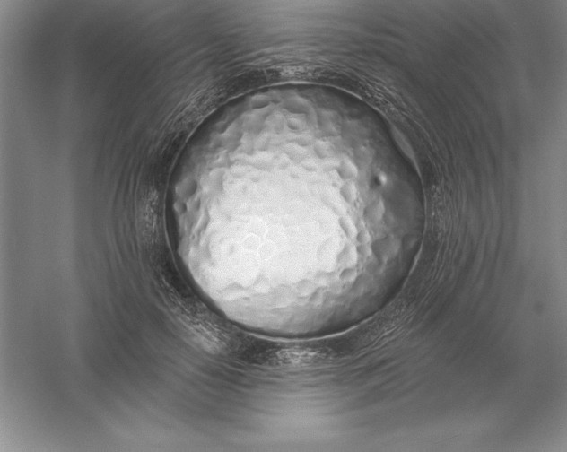 X0000055990650200509092021