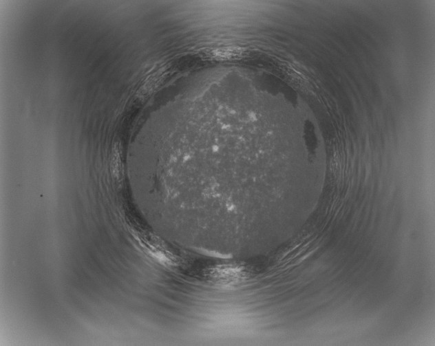 X0000055990651200509092021