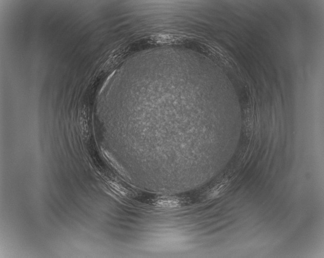 X0000055990653200509092021