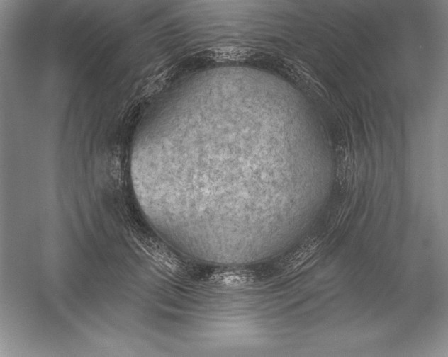 X0000055990655200509092021