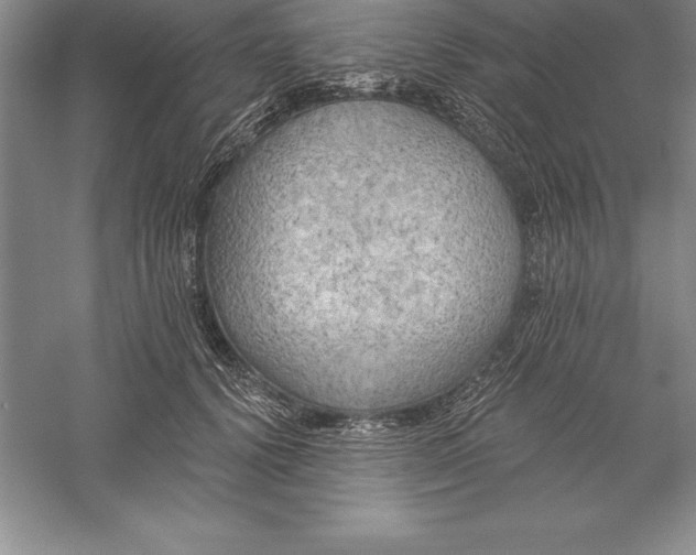 X0000055990656200509092021