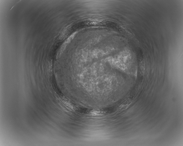 X0000055990657200509092021