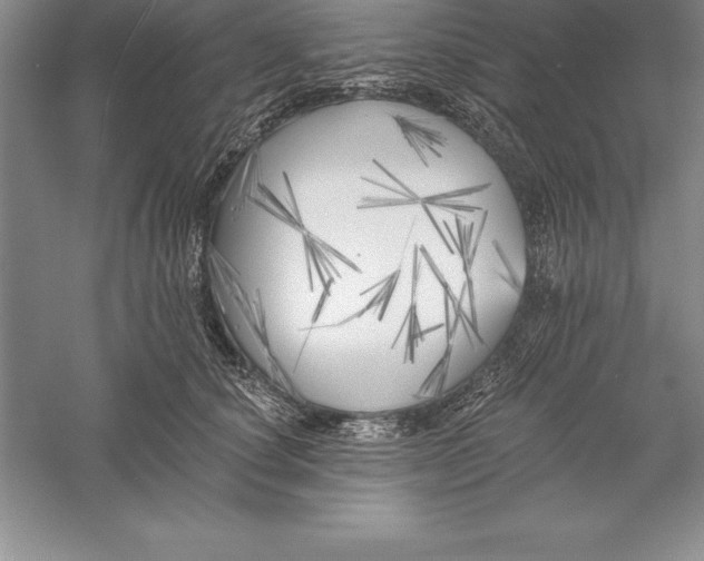 X0000055990660200509092021