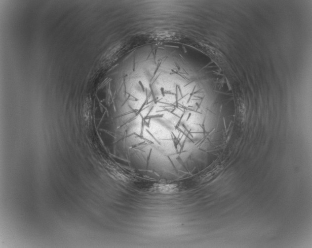 X0000055990665200509092021