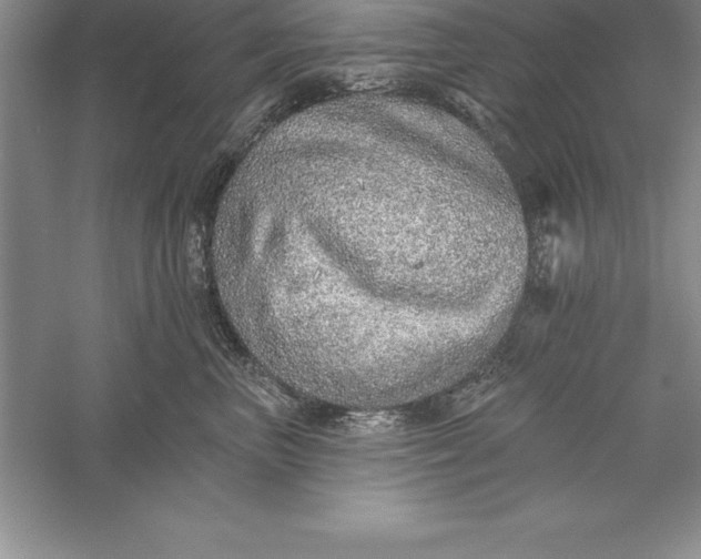 X0000055990667200509092021