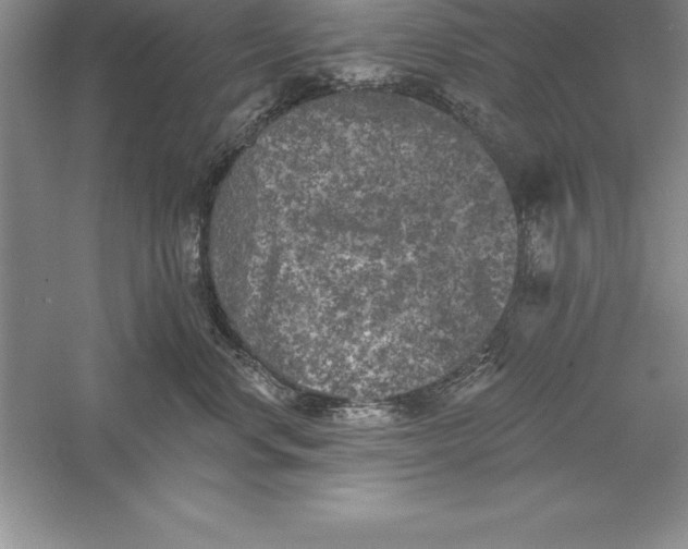 X0000055990668200509092021