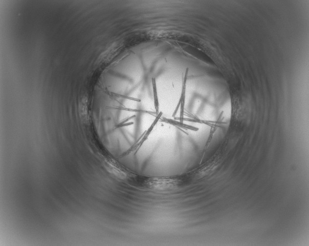 X0000055990670200509092021