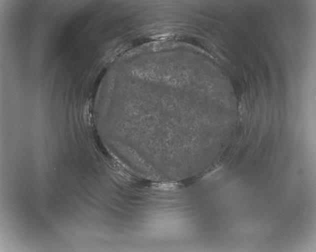 X0000055990671200509092021