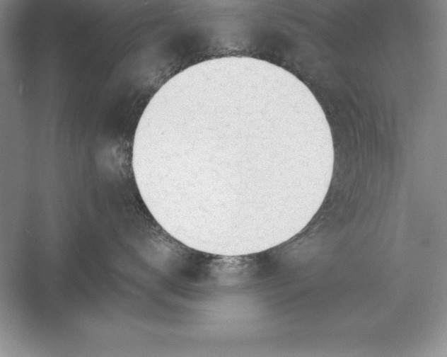 X0000055990672200509092021