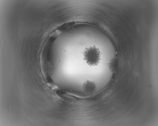 X0000055990673200509092020