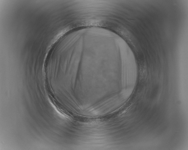 X0000055990674200509092020