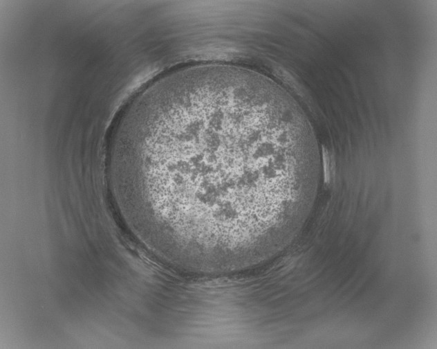 X0000055990675200509092020