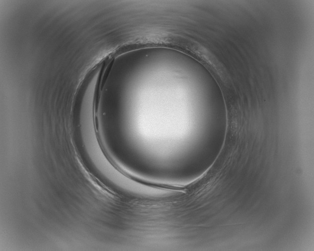 X0000055990677200509092020