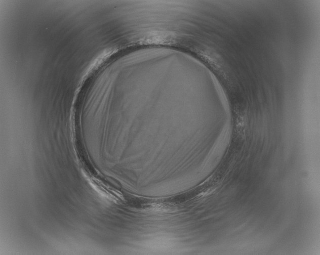 X0000055990678200509092020