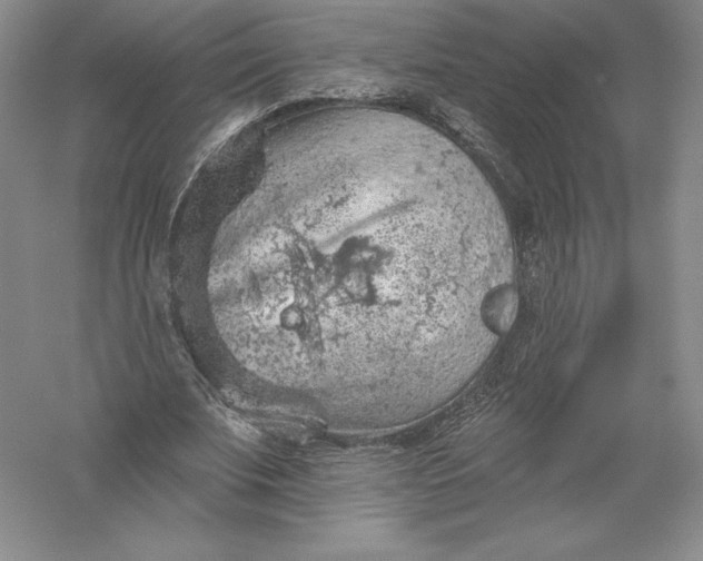 X0000055990679200509092020