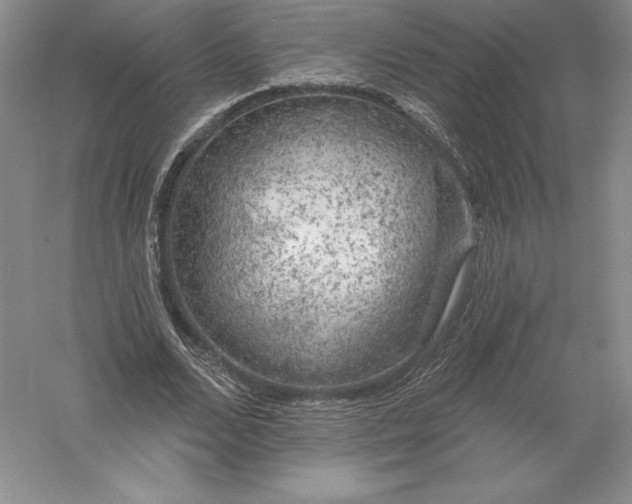 X0000055990680200509092020