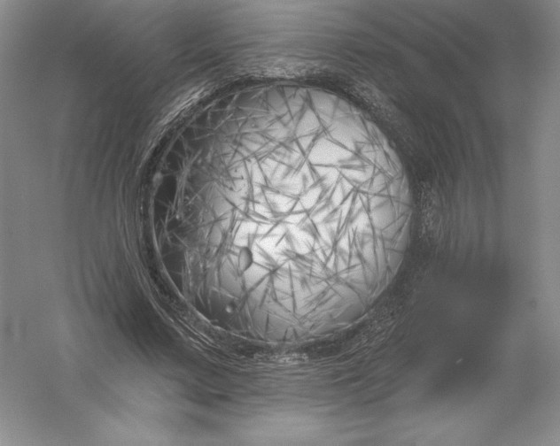 X0000055990683200509092020