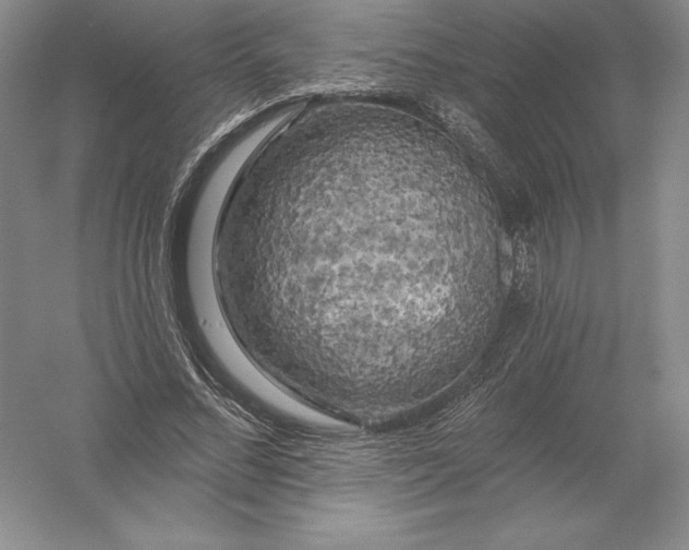 X0000055990684200509092020