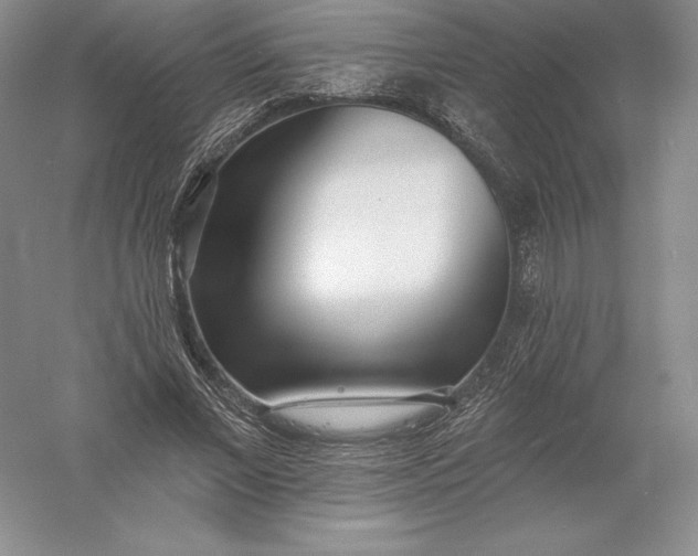 X0000055990685200509092020