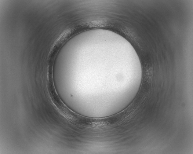 X0000055990686200509092020