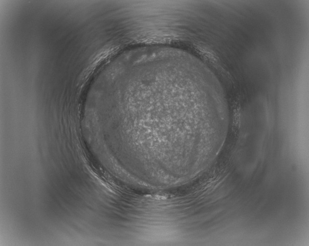 X0000055990687200509092020