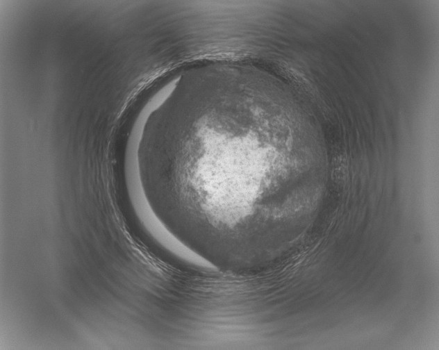 X0000055990688200509092020