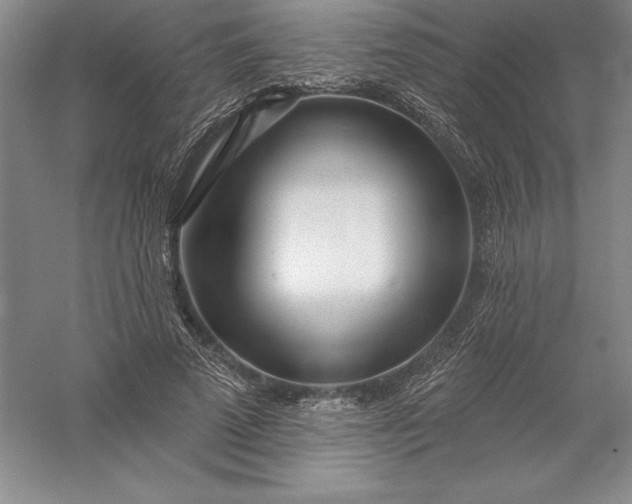 X0000055990689200509092020