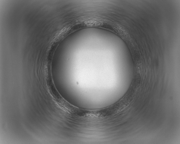 X0000055990690200509092020