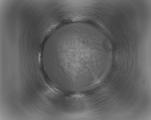 X0000055990691200509092020