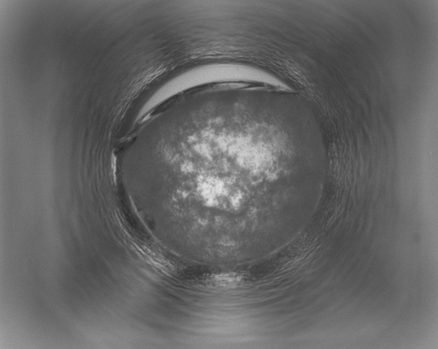 X0000055990692200509092020